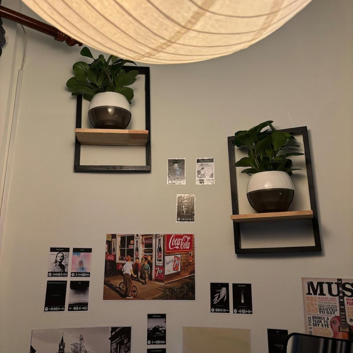 Lexyshouse - Warm Space In Ho Thi Ky Flower Market Ho Chi Minh City
